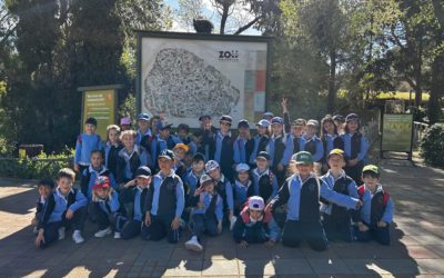 Visita al Zoo Aquarium de Madrid